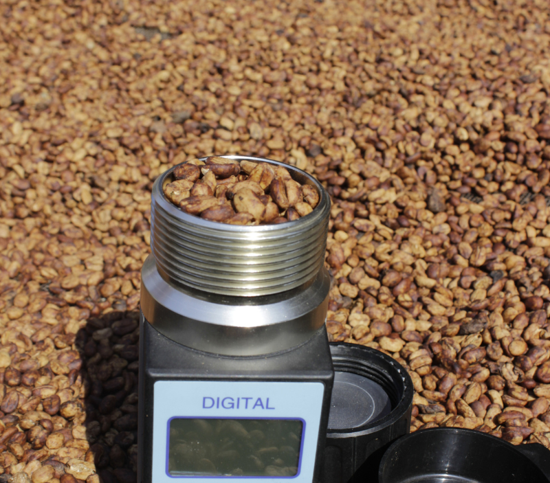 PEMROSES KOPI